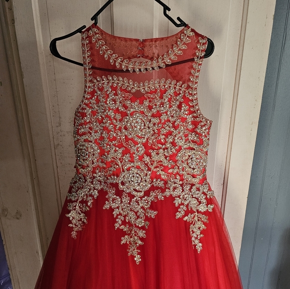 Size 14 Pagaent Dress - Picture 4 of 4